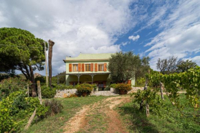 Villa Medina - Goelba Porto Azzurro